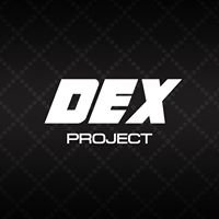 Icon Dex Project chat bot