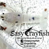 Easy Crayfish อุปกรณ์เลี้ยงกุ้ง ราคาถูก chat bot