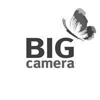 BIG Camera chat bot