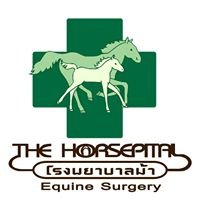 โรงพยาบาลม้าโคราช The Horsepital chat bot
