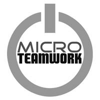 MicroTeamwork chat bot